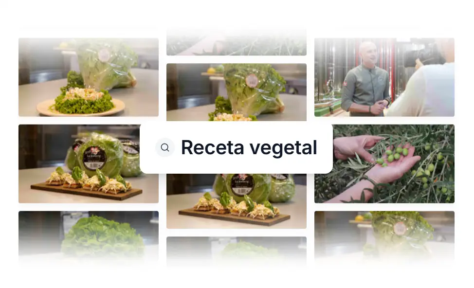 Polimake Media - Digital Asset Management